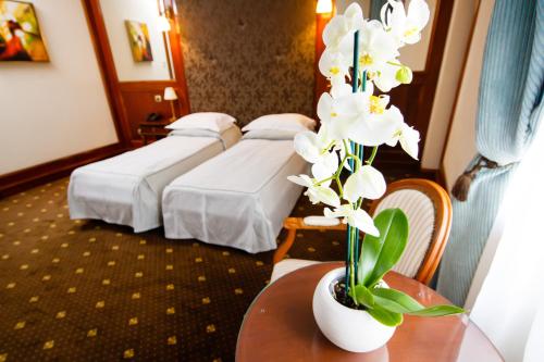 Hotel Select, Iaşi (Foto 8)