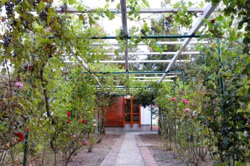Belegis Villa - image 12