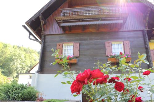 Ferienhaus Aurelia Ferienhaus Aurelia