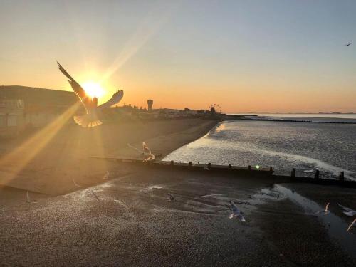 The Bays Clee Rd in กริมส์บี