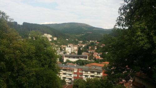 . Трънската къща