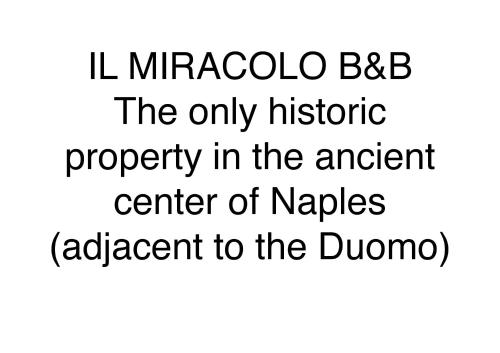 Il Miracolo - image 2