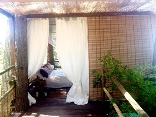Casa sull'albero - Only for lovers Experience - gîte à louer Bagni San Filippo