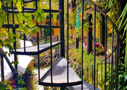 Hotel Eterna Primavera Antigua, Antigua Guatemala (foto 11)