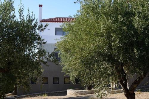  LIOFYTO - Stylish villa with views to Foinikounda bay in Kamária