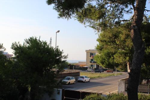 Villa Mariolina Guest House