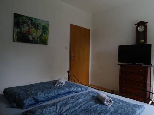 Helle Ferienwohnung in Nettetal bei Venlo