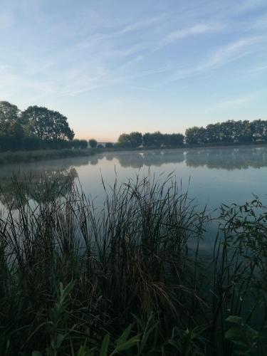  cottage doornedijk in Assenede