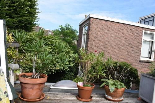 Bed & Breakfast Leonie, Haag (fotografie 7)
