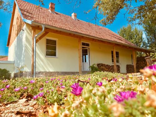 Bozo Haus - Villa in Gazije/Fericanci in Gazije