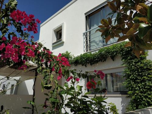  Vivenda Vieira, Unterkunft in Vila Nova De Cacela