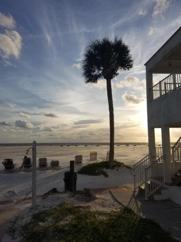 Carousel Beach Inn - image 12
