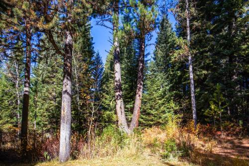 Aspen Village Golf Course Condo - Snowshoes