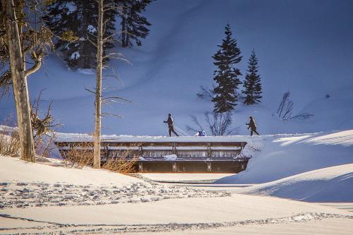 The Summit 67 - image 4