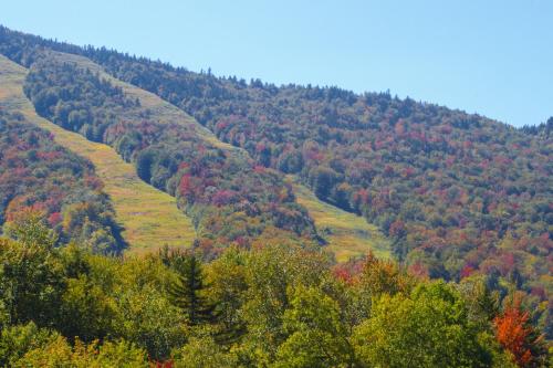 Locke Mountain D1 - image 6