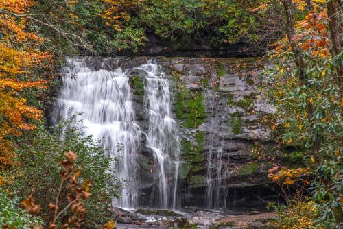 Smokies Sanctuary - image 2
