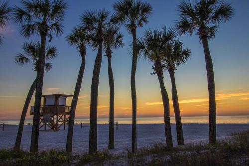 Beach Bound - image 4