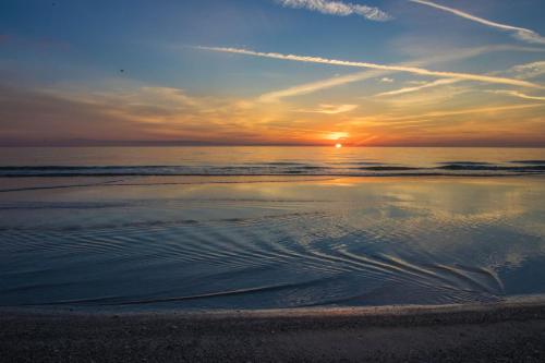 Beach Bound - image 8
