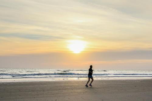 Golden Isles - image 2