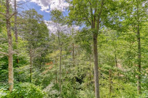 Bee Branch 44 in Sugar Mountain, USA