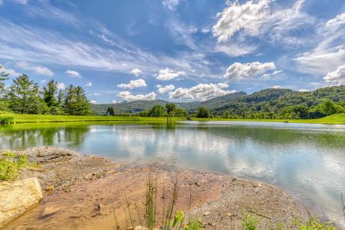 Snowlake B-14 - image 3