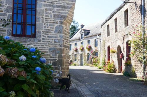 Maison familiale, 15couchages, de charme au cœur de la Bretagne - 20 min de Vannes