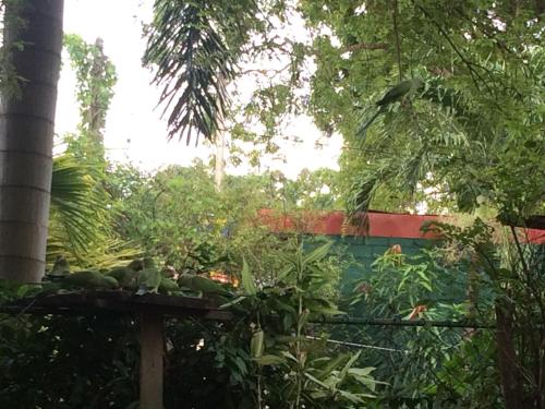 Nilaru Villa In Negombo Sri Lanka Bewertungen Preise Planet