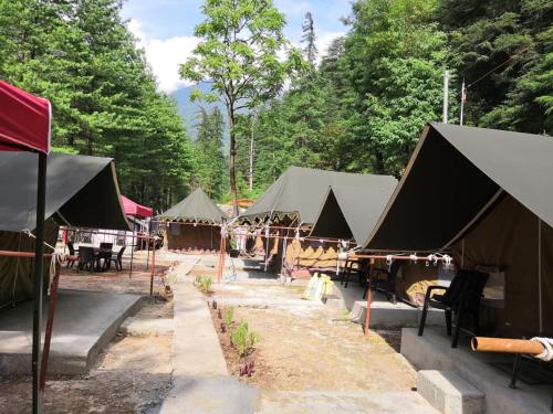Photo of River camp kasol