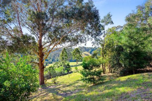 Braeside Cabin Three Parsonsia in Central Tilba