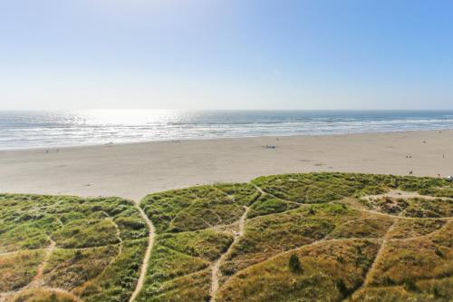 Sand & Sea: The Driftwood (310) - main image