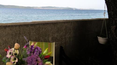 Apartman Veseli - image 4