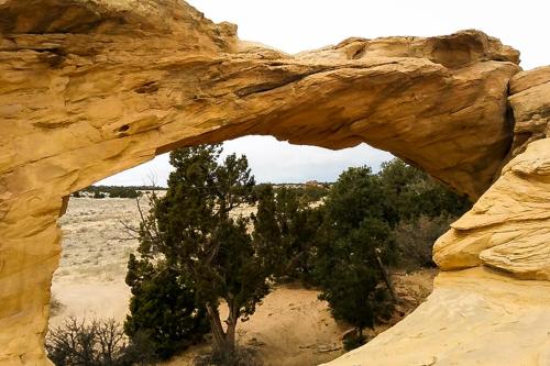 Cottonwoods 415 in Moab, USA