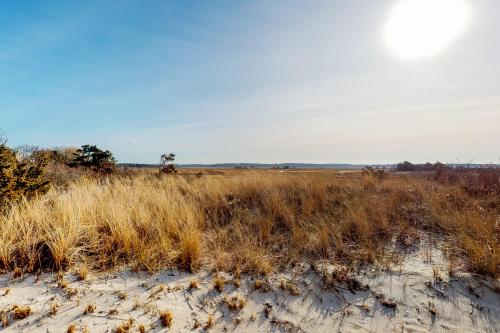 Cape Cod Bliss