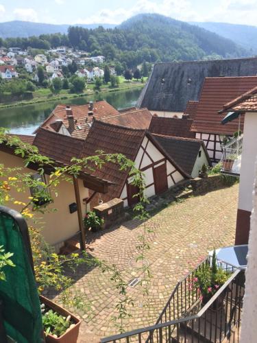 Natur und Neckarblick bei Heidelberg