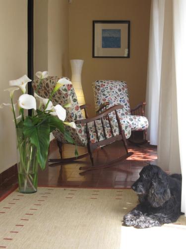 Casa rural el Gargujo - image 7
