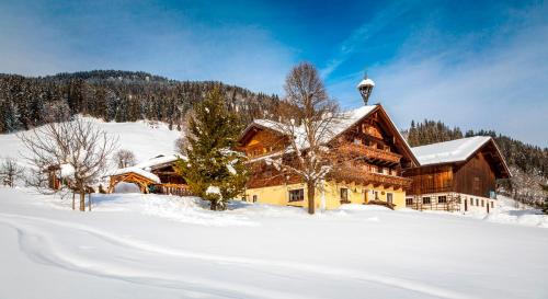 Prechtlhof in Flachau - Hotel