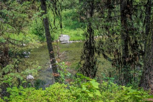 Huckleberry Riverfront Cabin - image 5