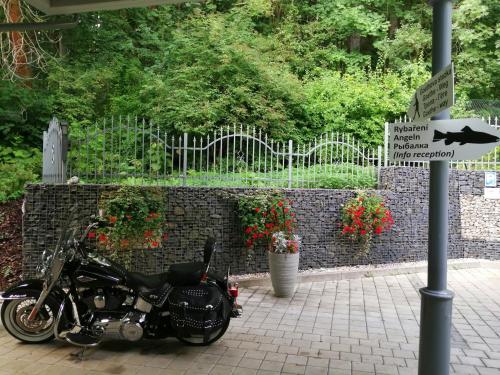 Parkhotel Forest - image 6