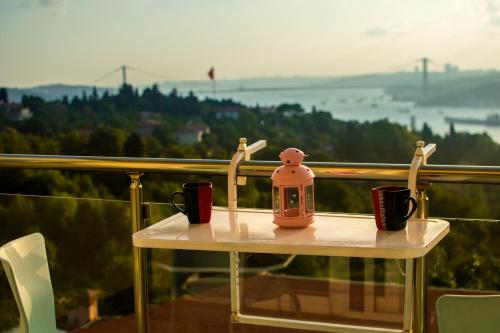  Spacious Bosphorus View 1 BD Apt. in Istanbul
