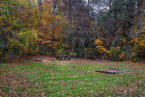 Mystic Falls Lodge - image 8
