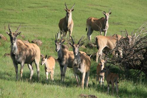 Sani Valley Nature Lodges