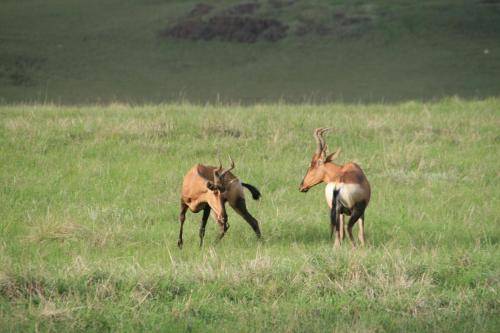 Sani Valley Nature Lodges