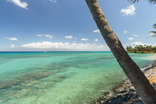 Hale Ono Loa 208 - image 9