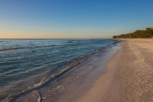 Palm Isle 3207 - image 3