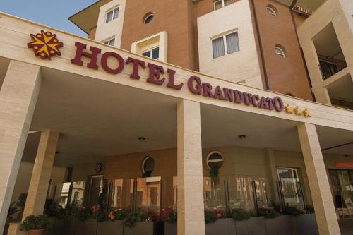 Hotel Granducato - image 3