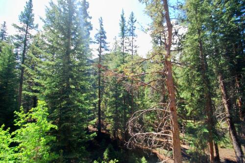 Trappers Crossing 8763 in Keystone, USA