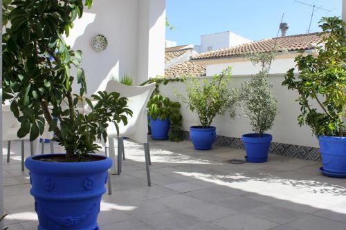 Pensión Guerrero - image 13