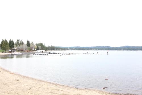 Rustic Retreat - image 6
