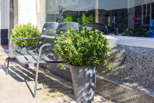 Mini-Hotel Floris IV - image 7