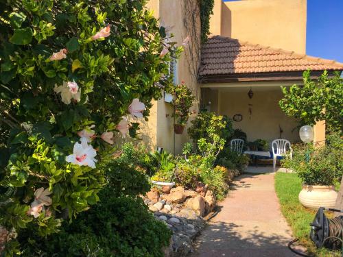 Exterior view, Rio desert view apartment in Rishonim